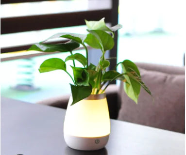 Dormitory Vase Night Light