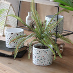 Modern Ceramic Round Planter for Succulent Plants