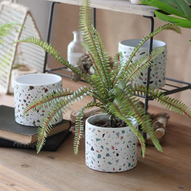 Modern Ceramic Round Planter for Succulent Plants