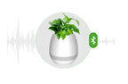 Musical Bluetooth Flower Pot with Singing Feature