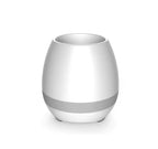 Musical Bluetooth Flower Pot with Singing Feature
