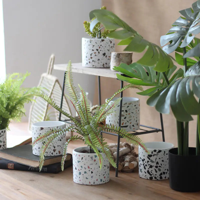 Modern Ceramic Round Planter for Succulent Plants