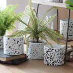 Modern Ceramic Round Planter for Succulent Plants