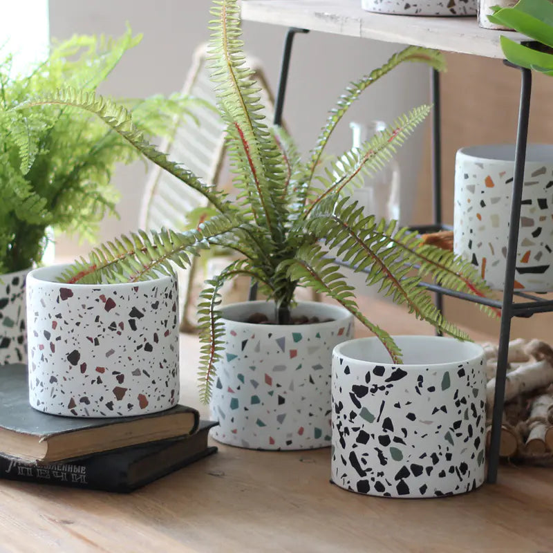 Modern Ceramic Round Planter for Succulent Plants